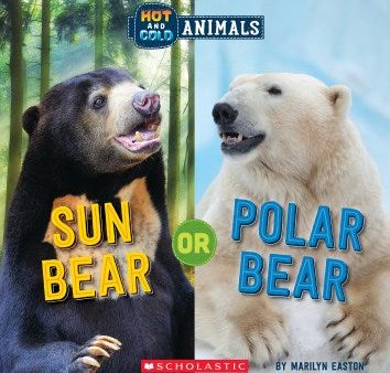 Sun Bear or Polar Bear For Sale