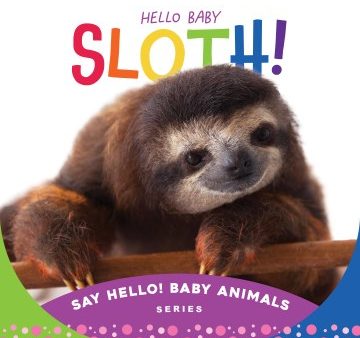 Hello Baby Sloth! Fashion