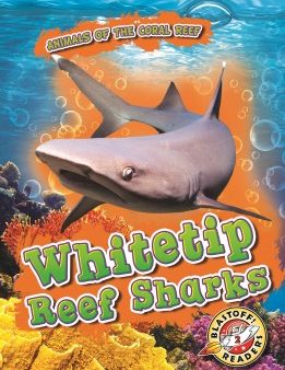 Whitetip Reef Sharks Sale