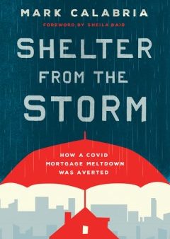 Shelter from the Storm Online