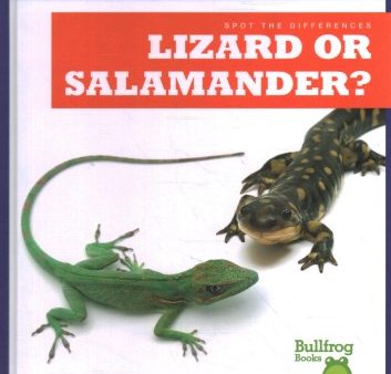 Lizard or Salamander? Online