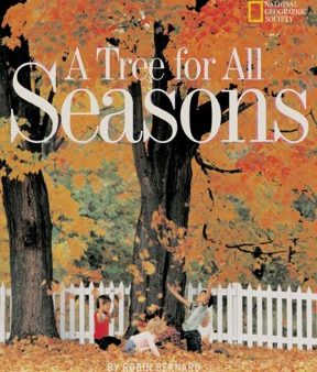 A Tree for All Seasons Online now