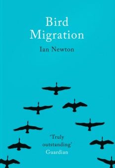 Bird Migration For Sale