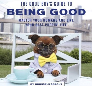 The Good Boy s Guide to Being Good Online now