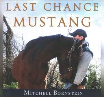 Last Chance Mustang Discount