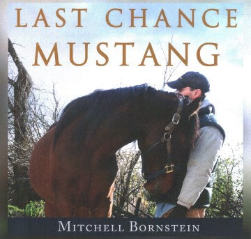 Last Chance Mustang Discount