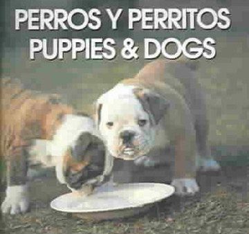 Perros Y Perritos Puppies & Dogs Online now