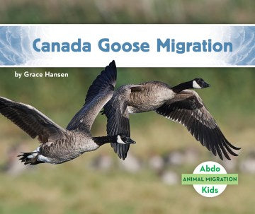 Canada Goose Migration For Sale