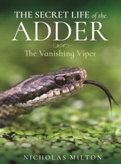 The Secret Life of the Adder Online now