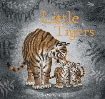 Little Tigers For Cheap